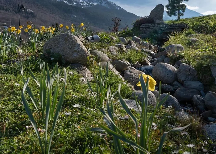 Apartamento 6 Pers Pres Pistes Avec Balcon, Animaux Admis A - Fr-1-296-427 *