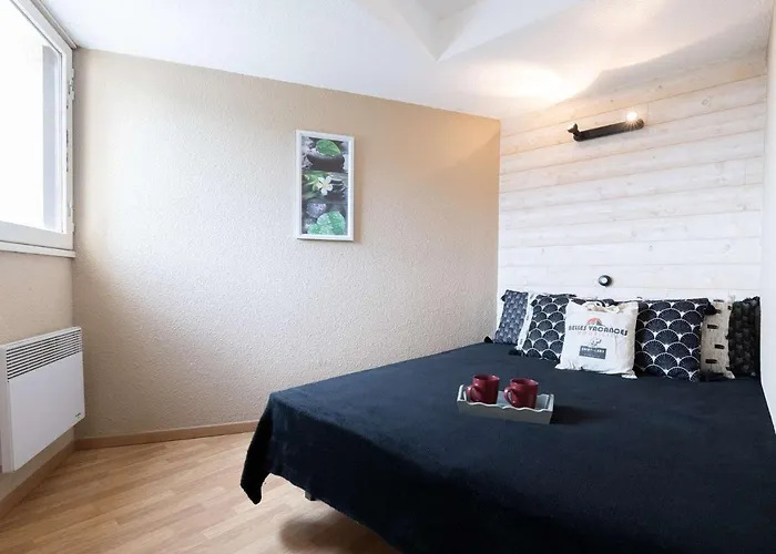 Apartamento 6 Pers Pres Pistes Avec Balcon, Animaux Admis A - Fr-1-296-427 *