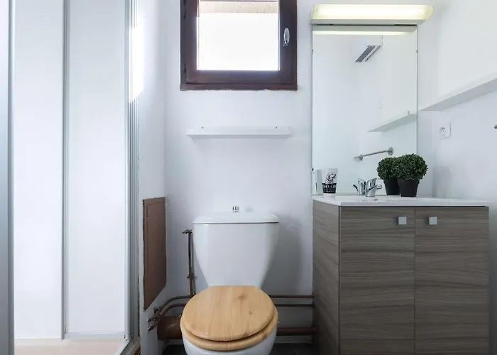 Apartamento 6 Pers Pres Pistes Avec Balcon, Animaux Admis A - Fr-1-296-427 Saint-Lary-Soulan